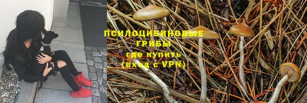 герыч Балахна
