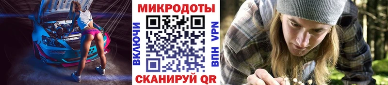 дарнет шоп  Сибай  Галлюциногенные грибы Psilocybine cubensis 